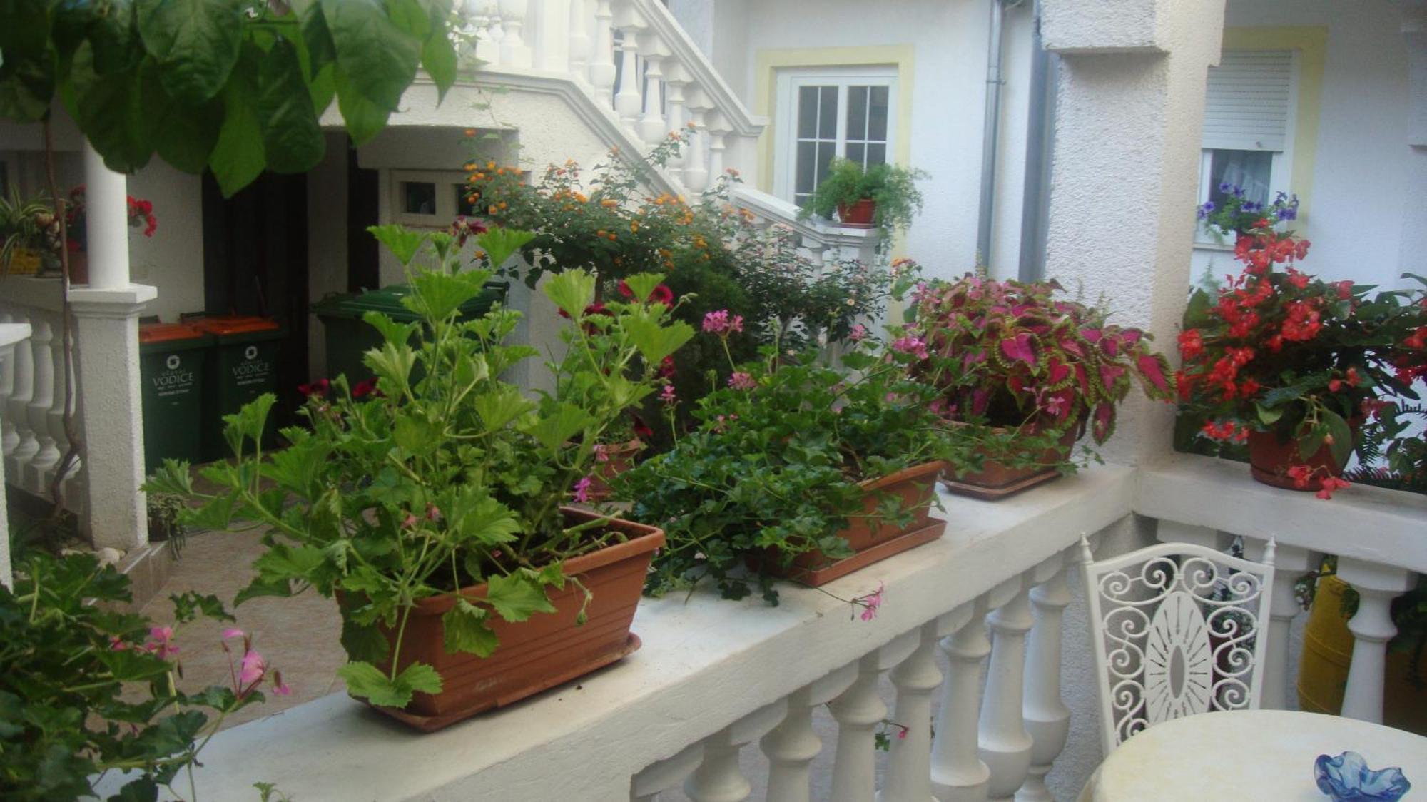 Apartments Vodice Marica Стая снимка